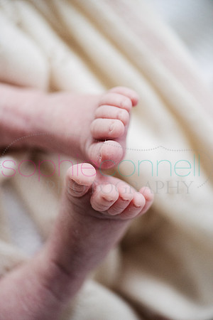 MARGOT25775